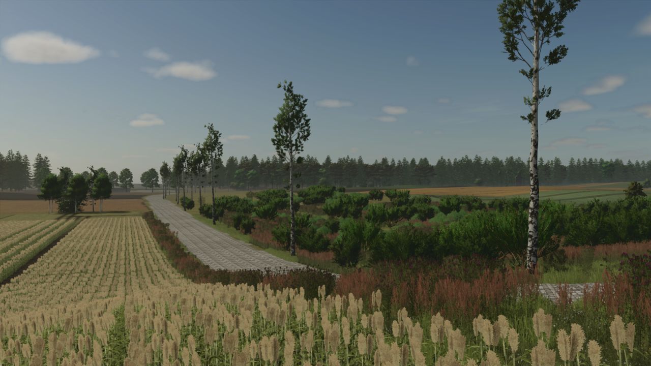 Borowiny