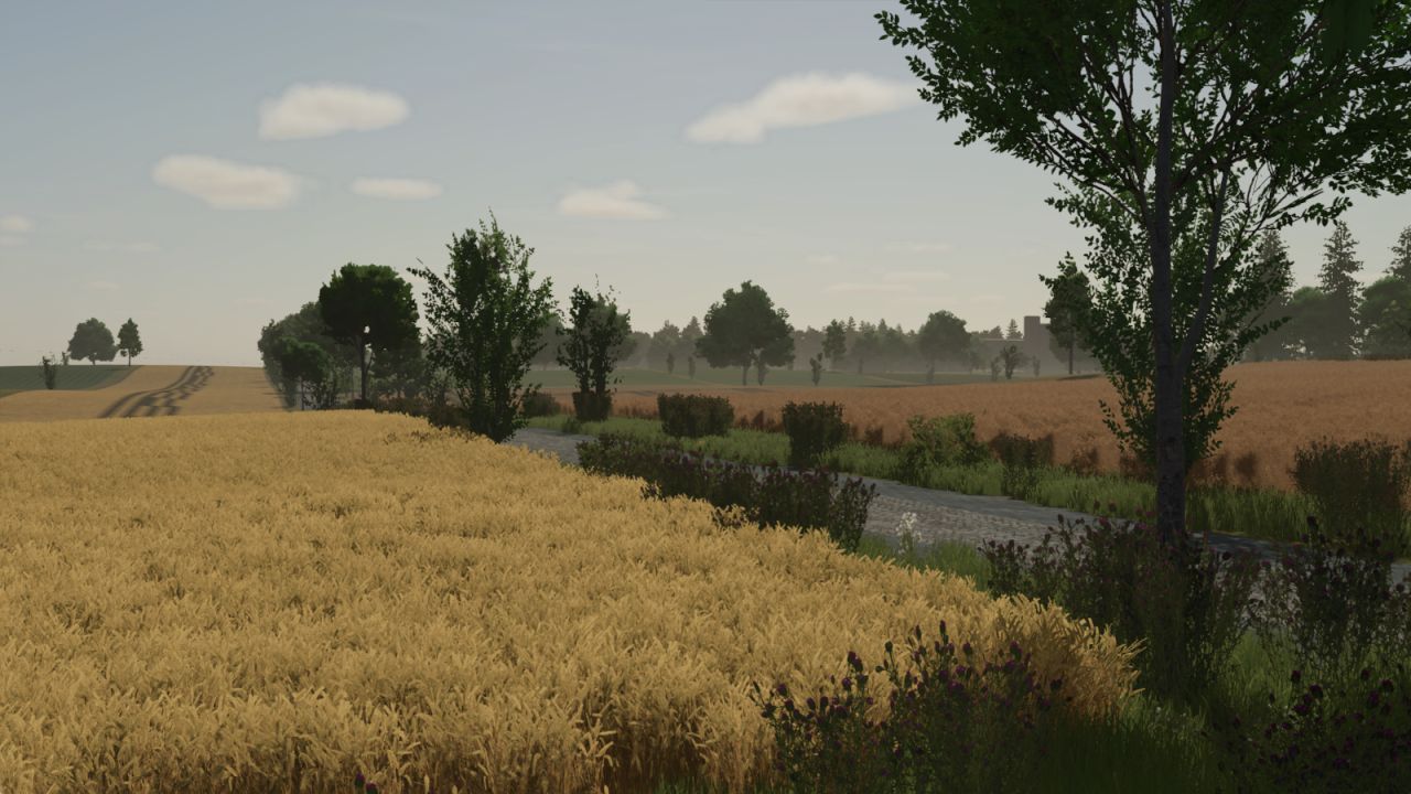 Borowiny