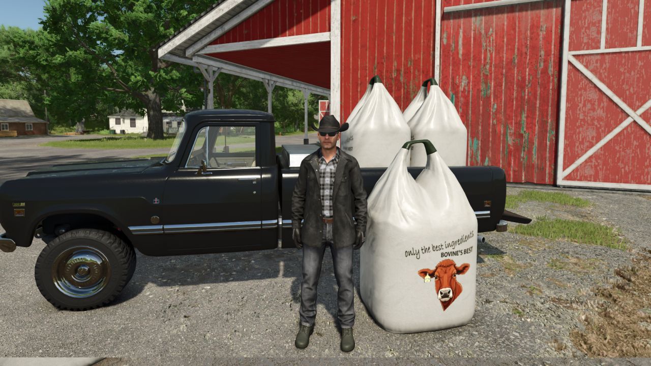 Il miglior cibo per mucche in big bag TMR dei bovini
