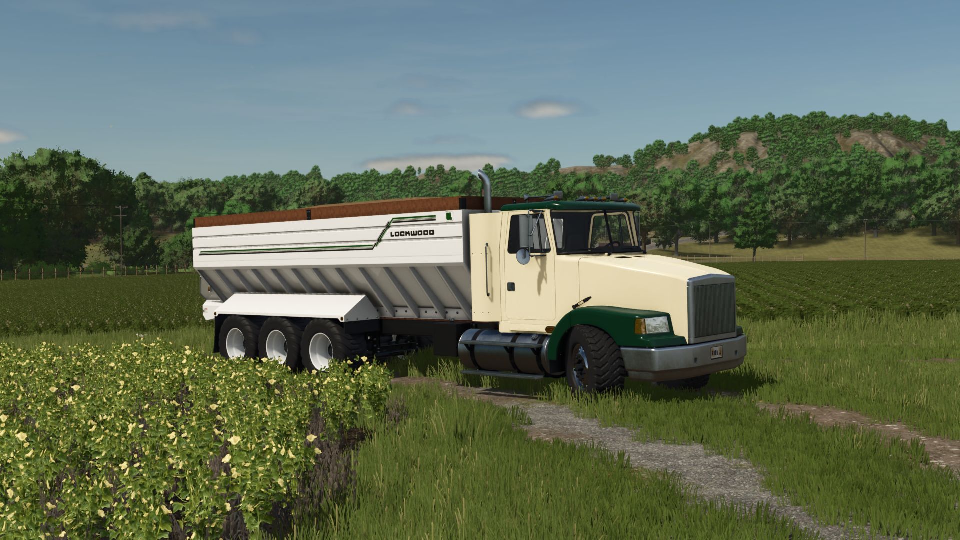 Pack de caisse de camion en vrac