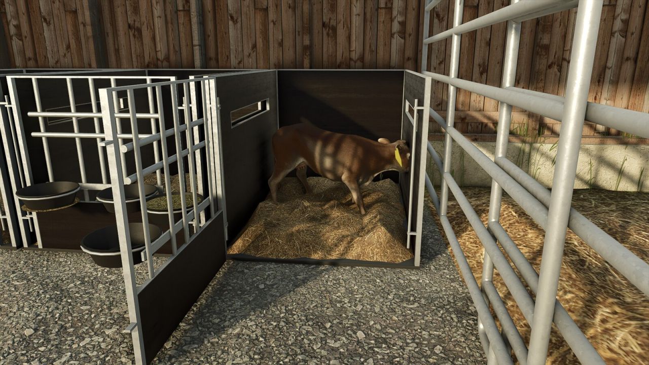 Calf Box