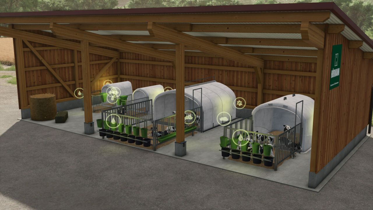 Pack de cabanes de veau