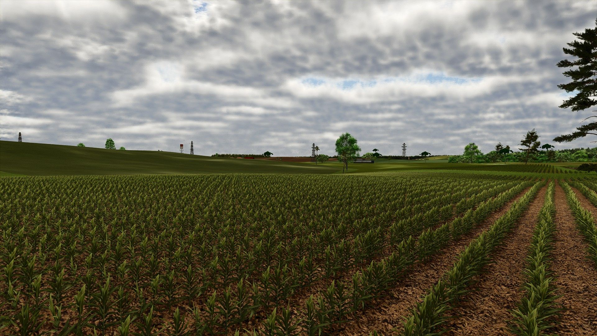 Campos Gerais