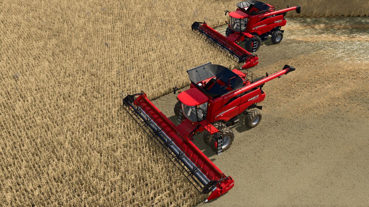 Case IH 3020 Terraflex Biçerdöver Tablaları