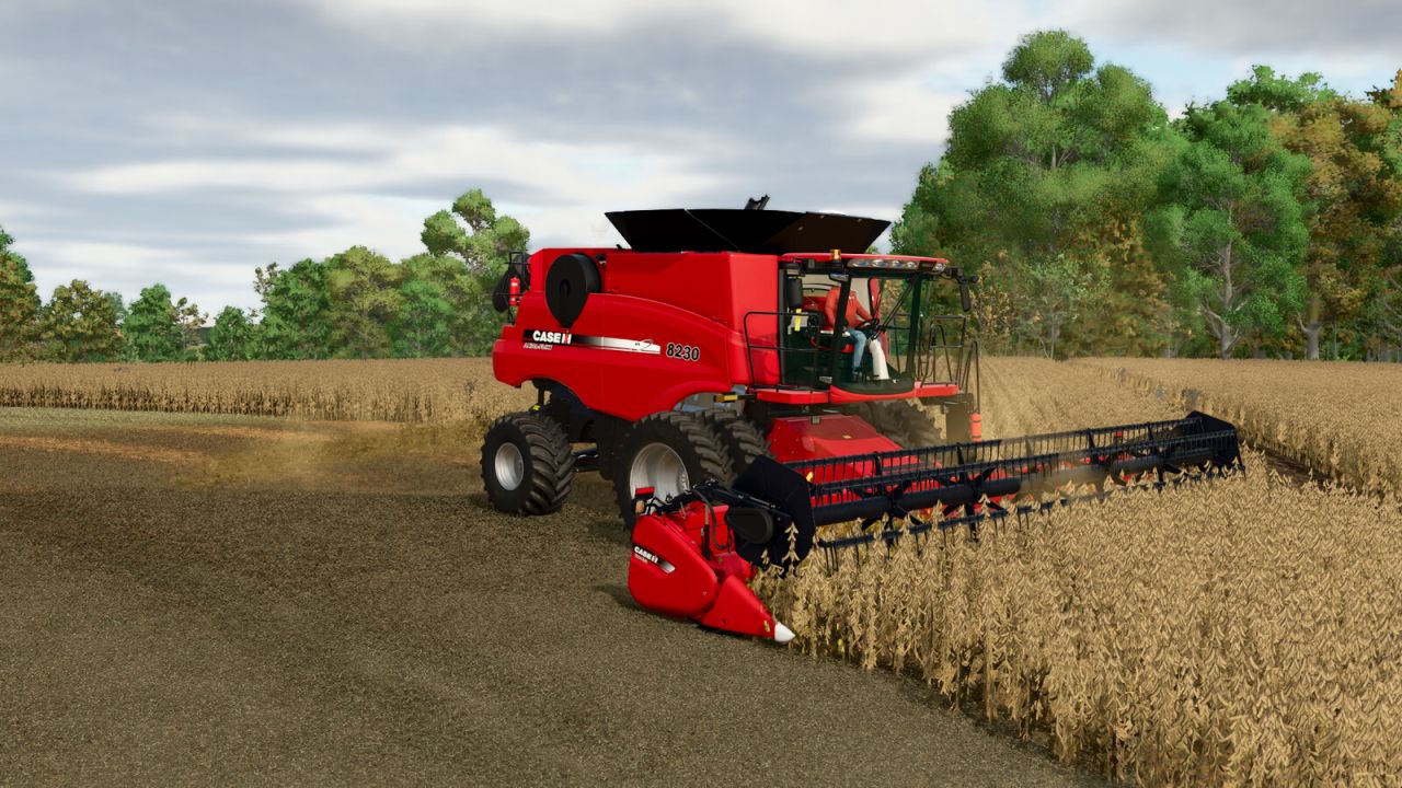 Case IH 3020 Terraflex Biçerdöver Tablaları