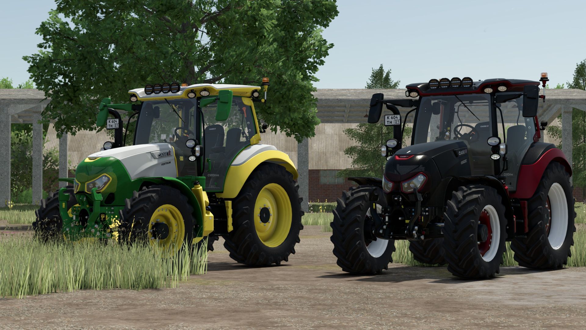 Case Vestrum Multicolor