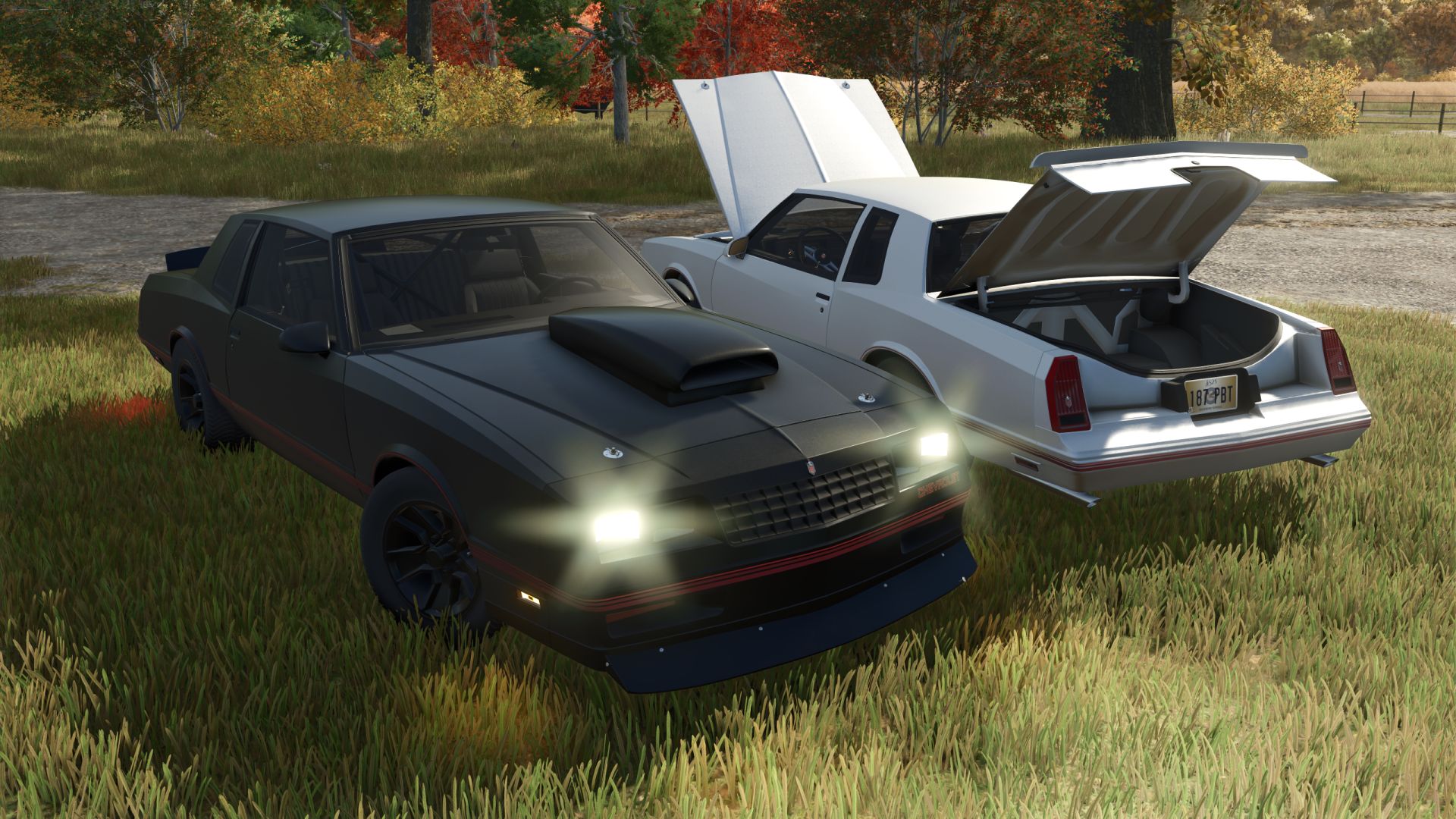 Chevrolet Monte Carlo 1987