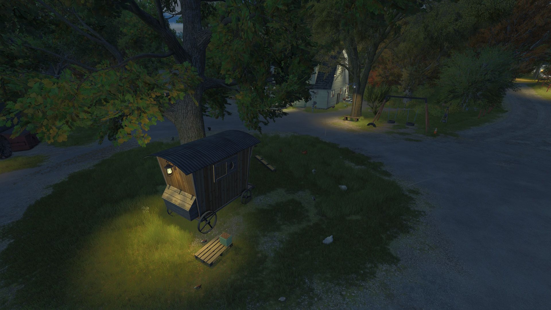 Chickens without enclosure