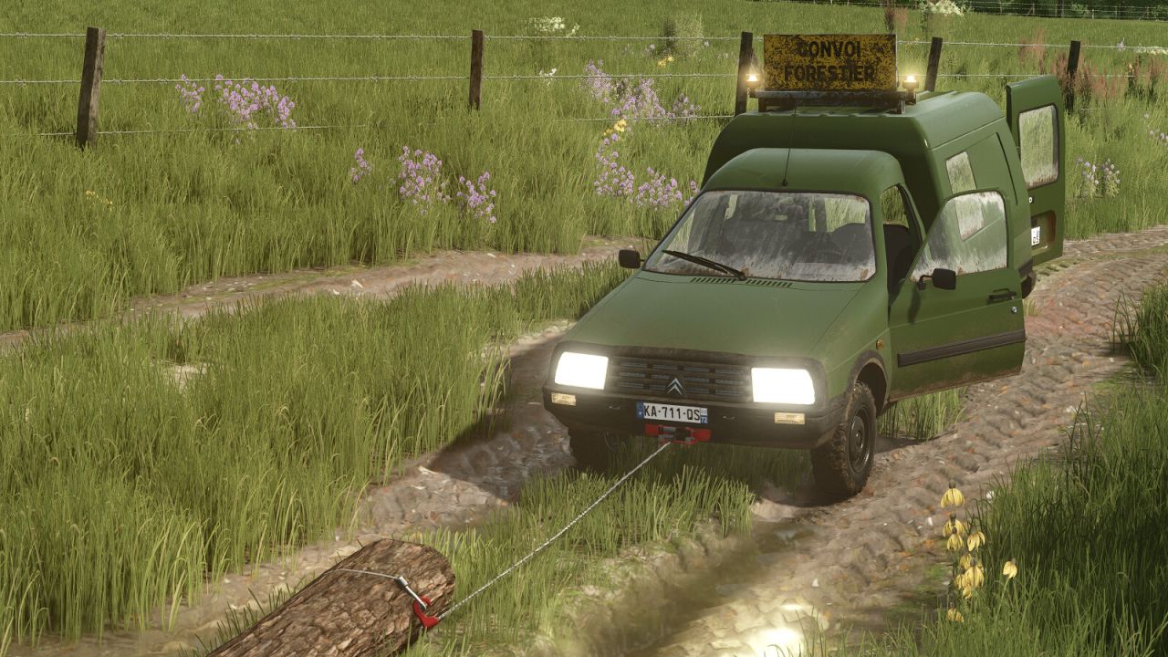 Citroën C15 Utility