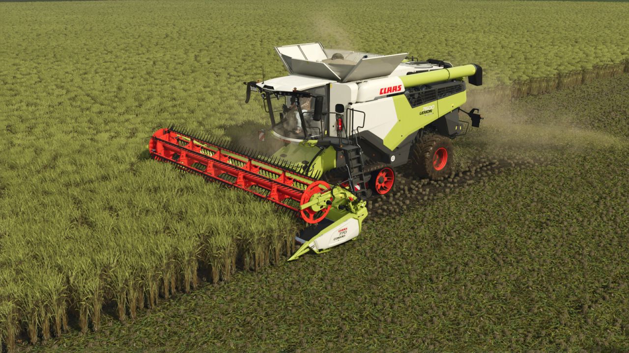 CLAAS LEXION 8000-5000