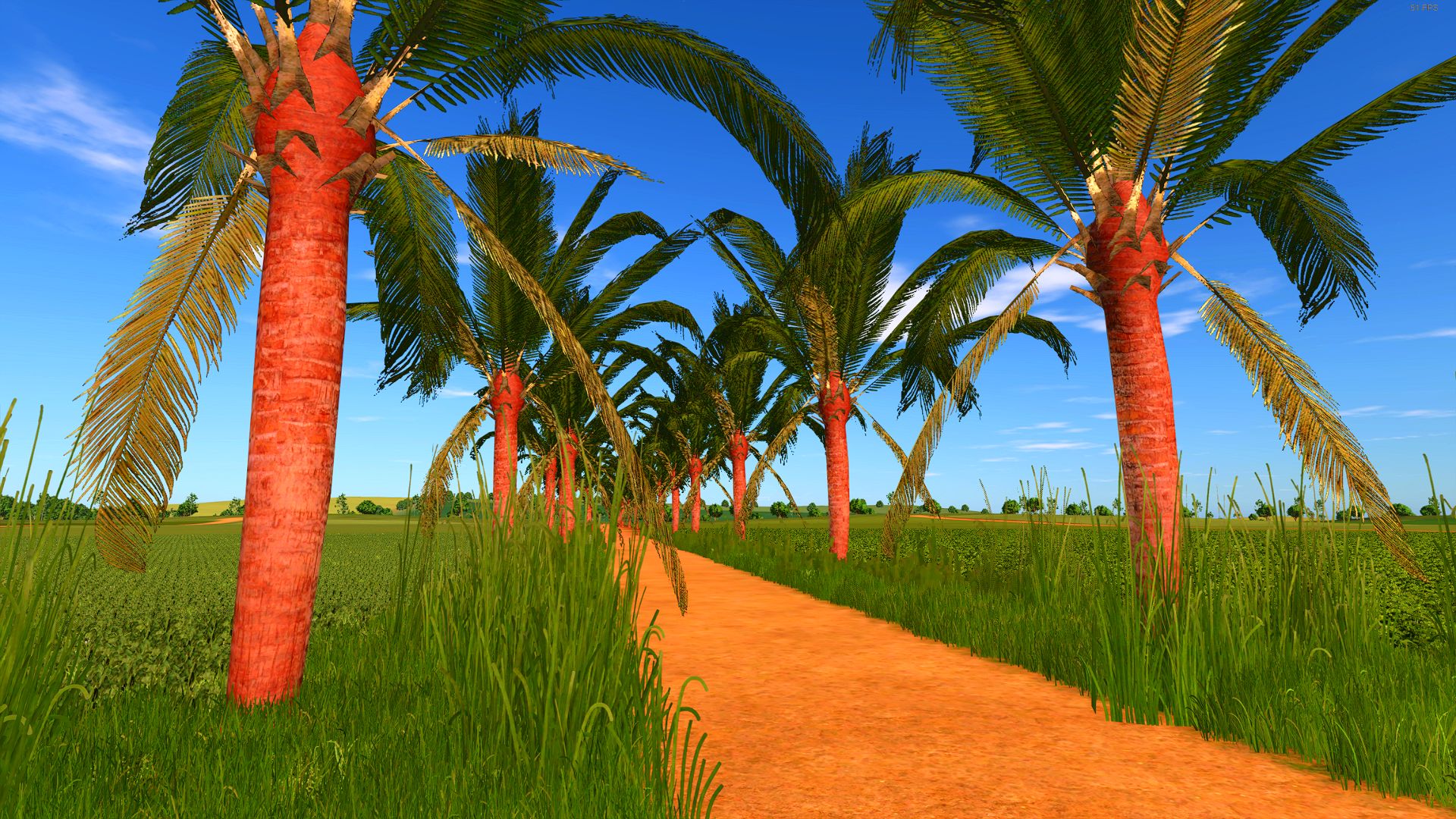 Coconut tree