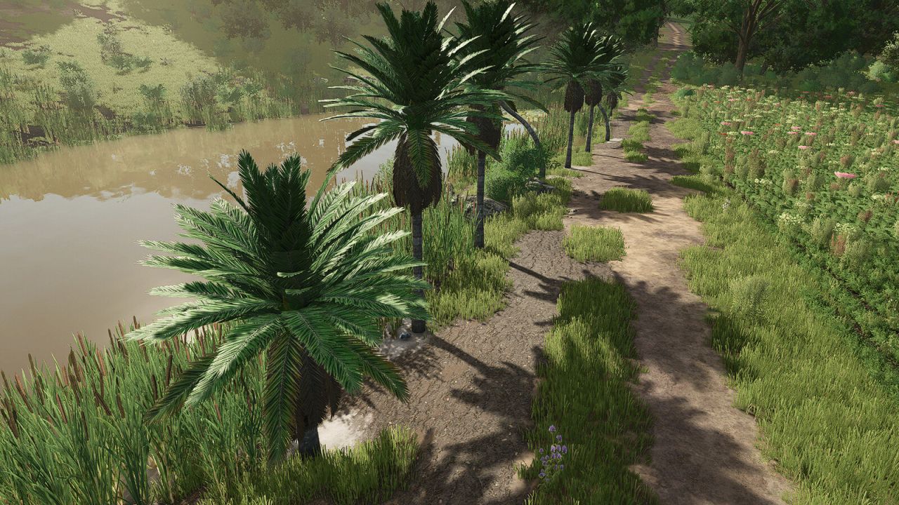 Cocotiers