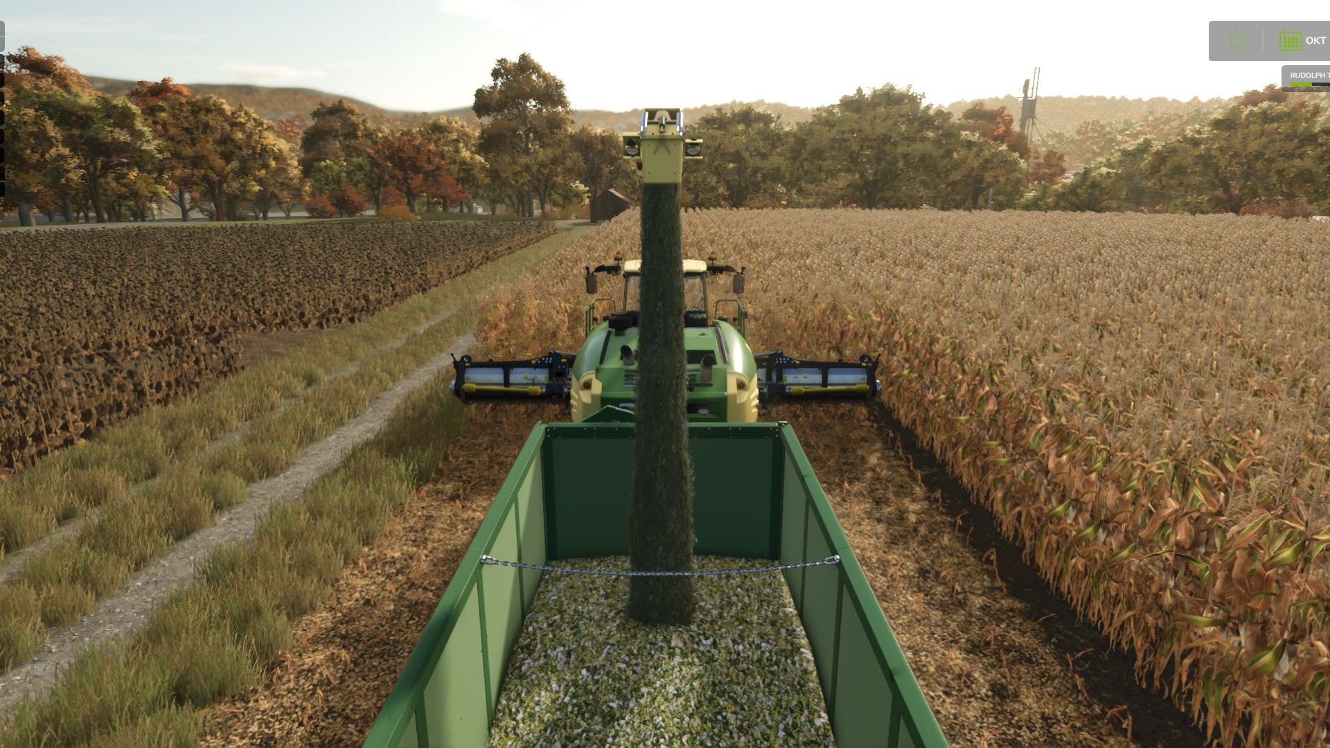 Corn cob silage