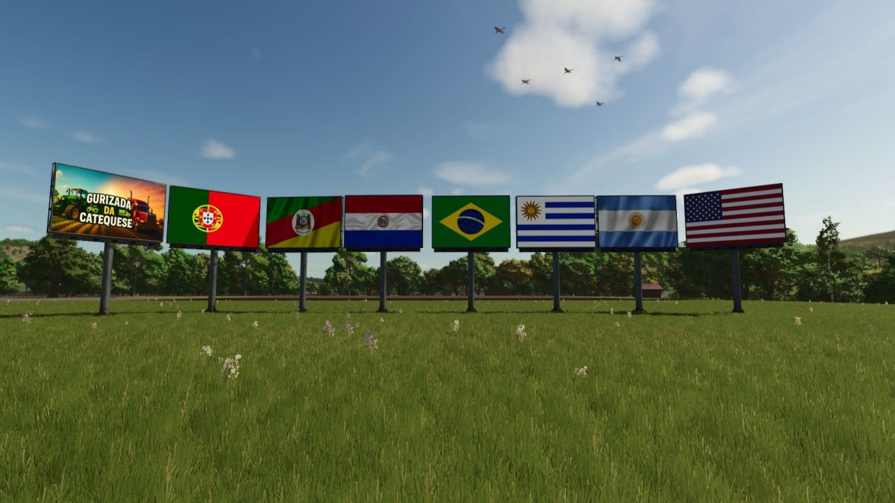 Panneaux d'affichage des drapeaux des pays