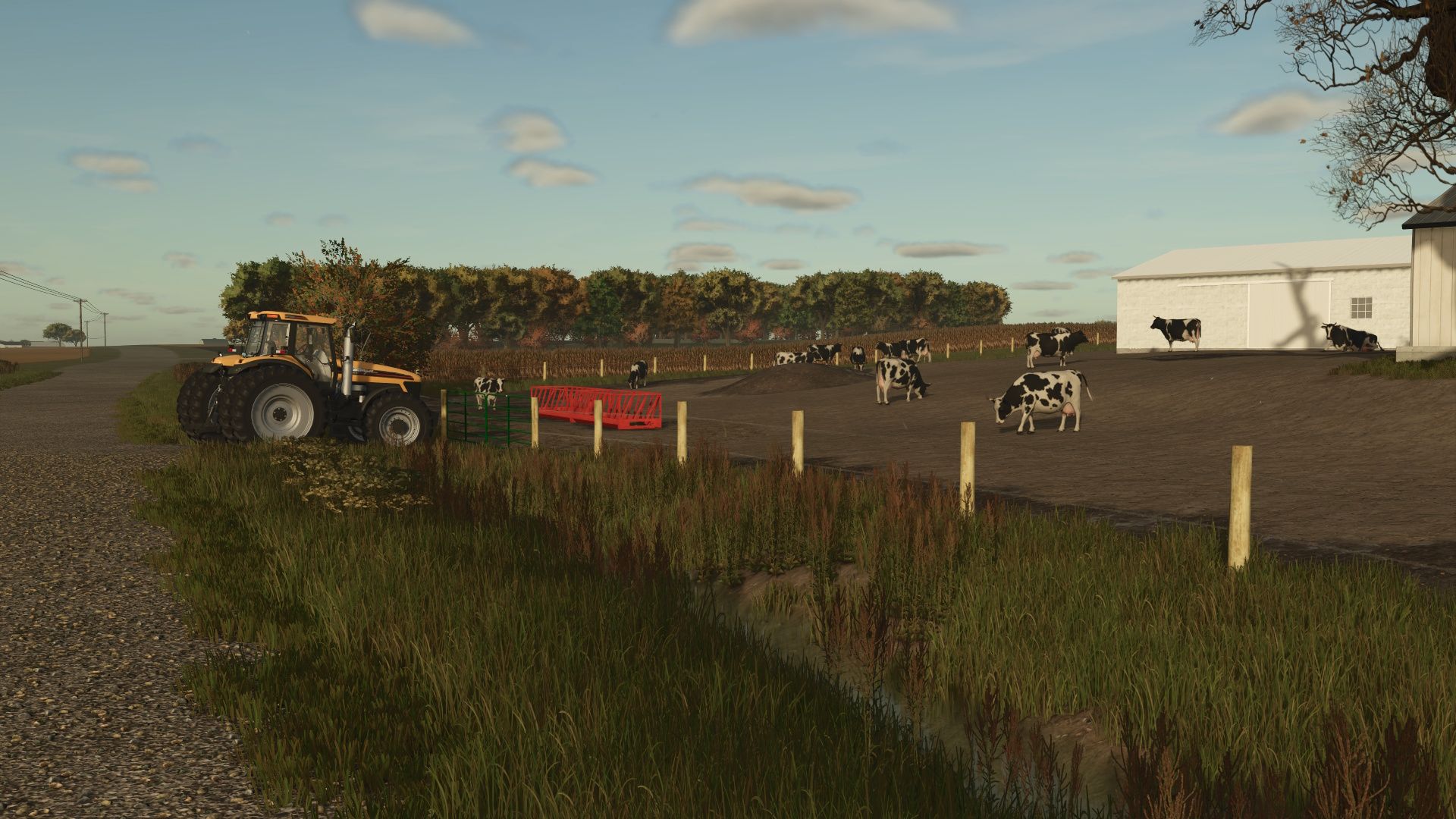 Courtland, MN 4X