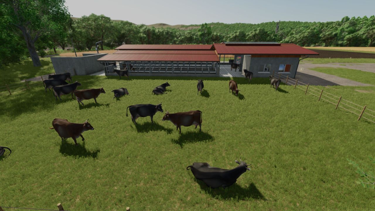 Produção de laticínios de celeiro de vaca