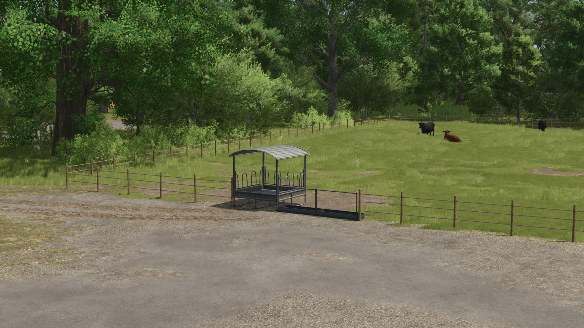 Cow pasture without water
