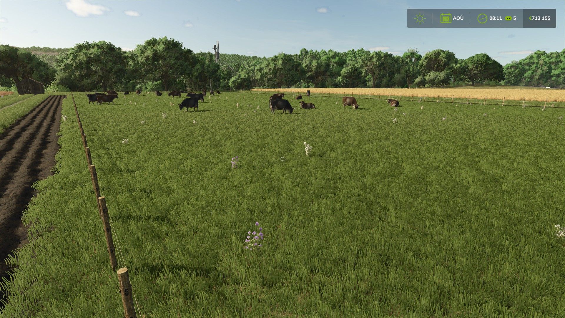 Cercado para vacas 100 lugares