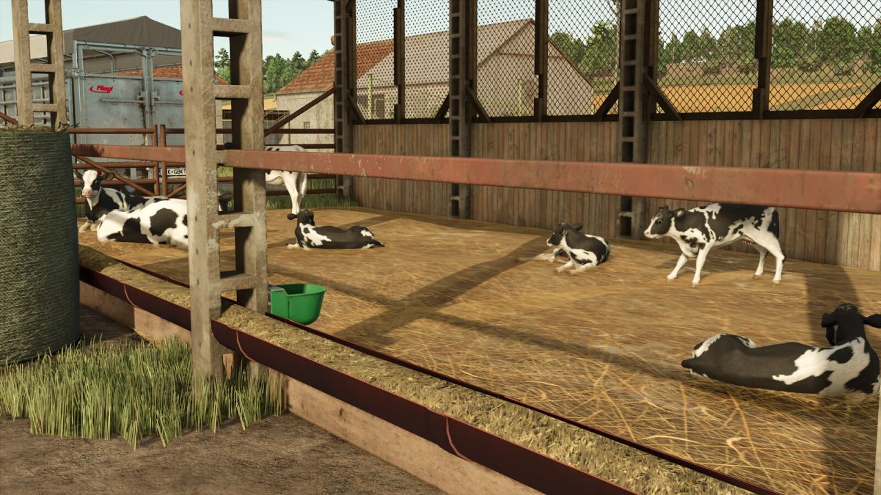 Cow Shed