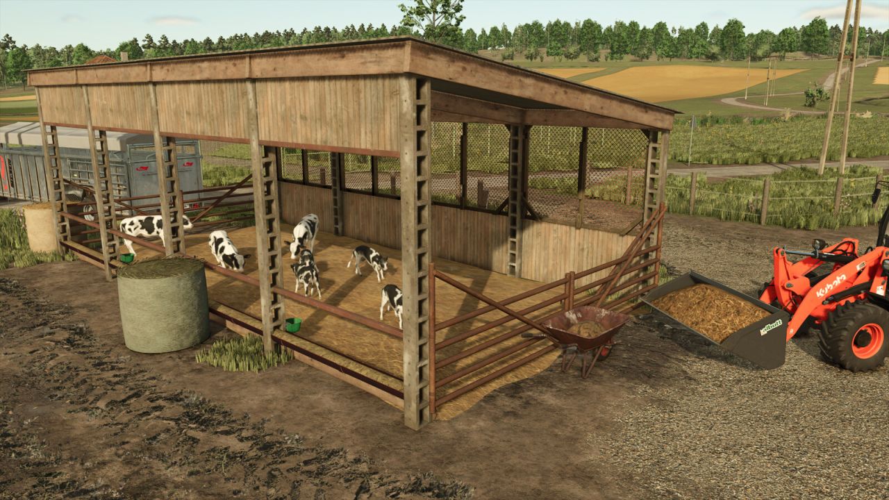 Cow Shed