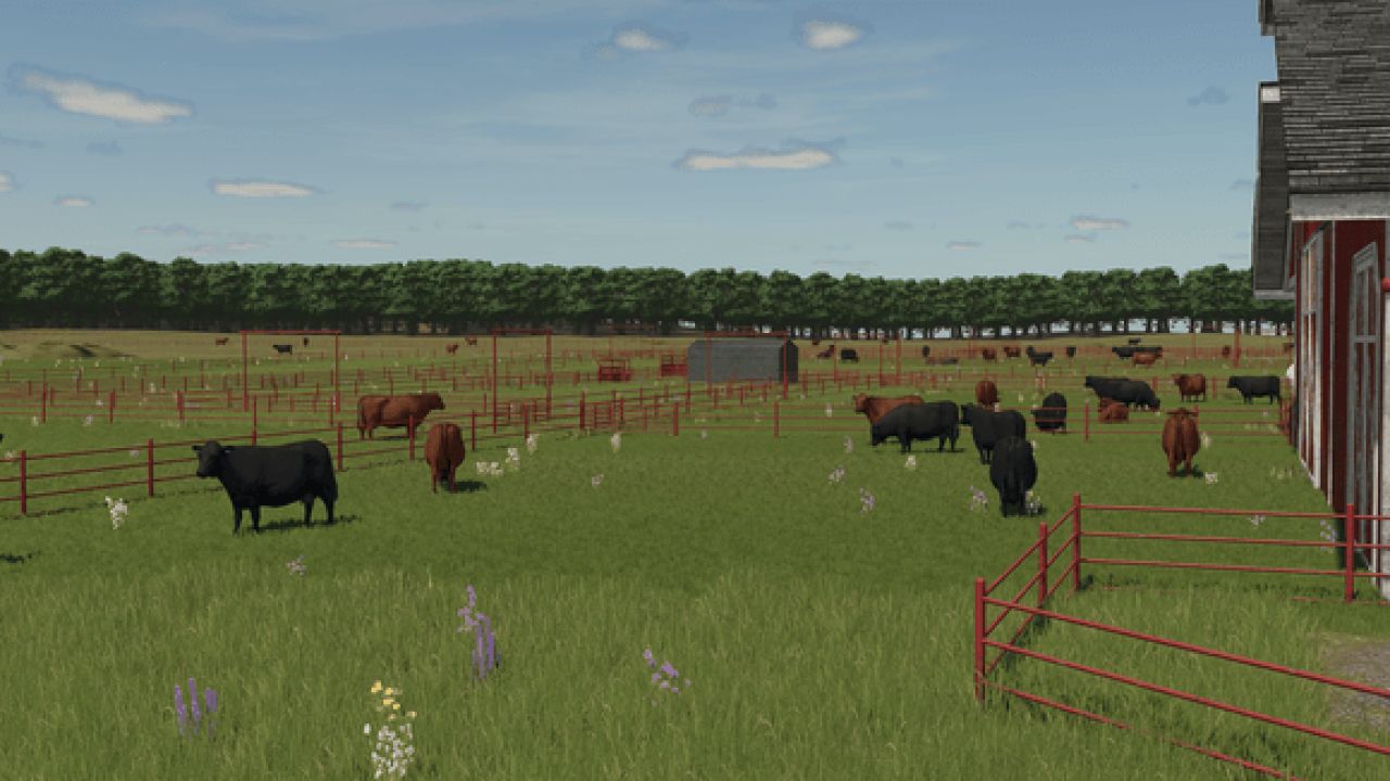 Cowboi Ranch