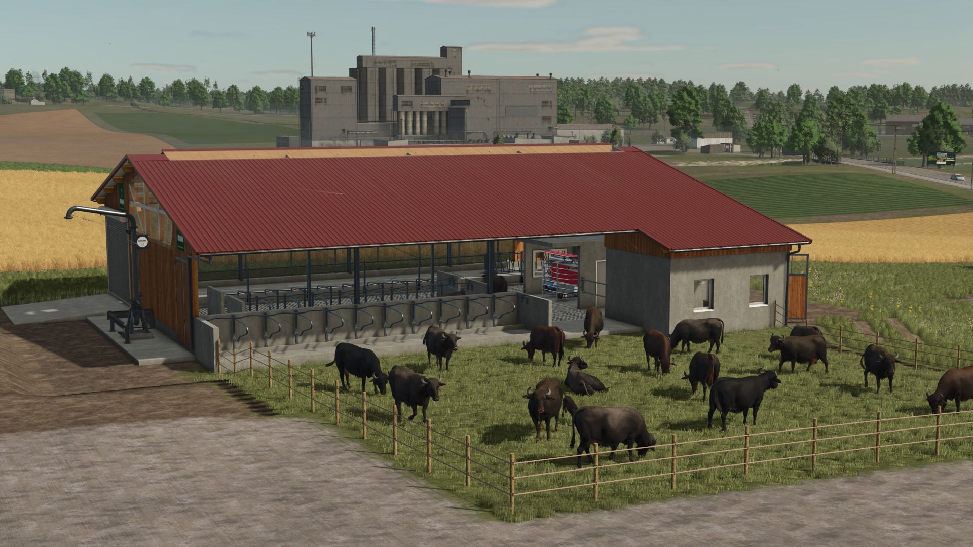 Cowshed with More Cows