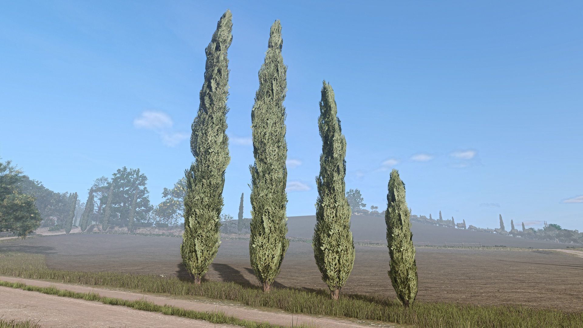 Кипарис