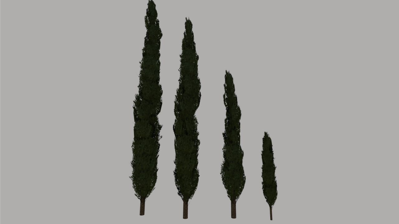 Pack de cyprès (Prefab)
