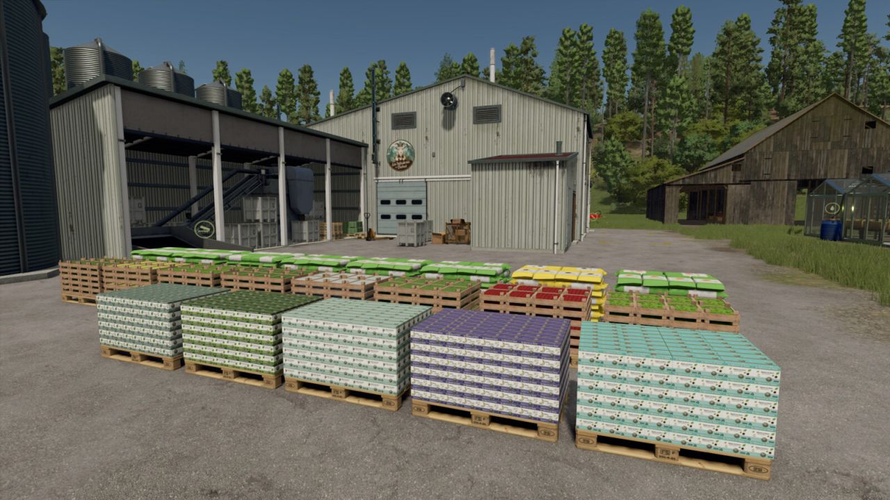 Dahut'un Bitki Çayı