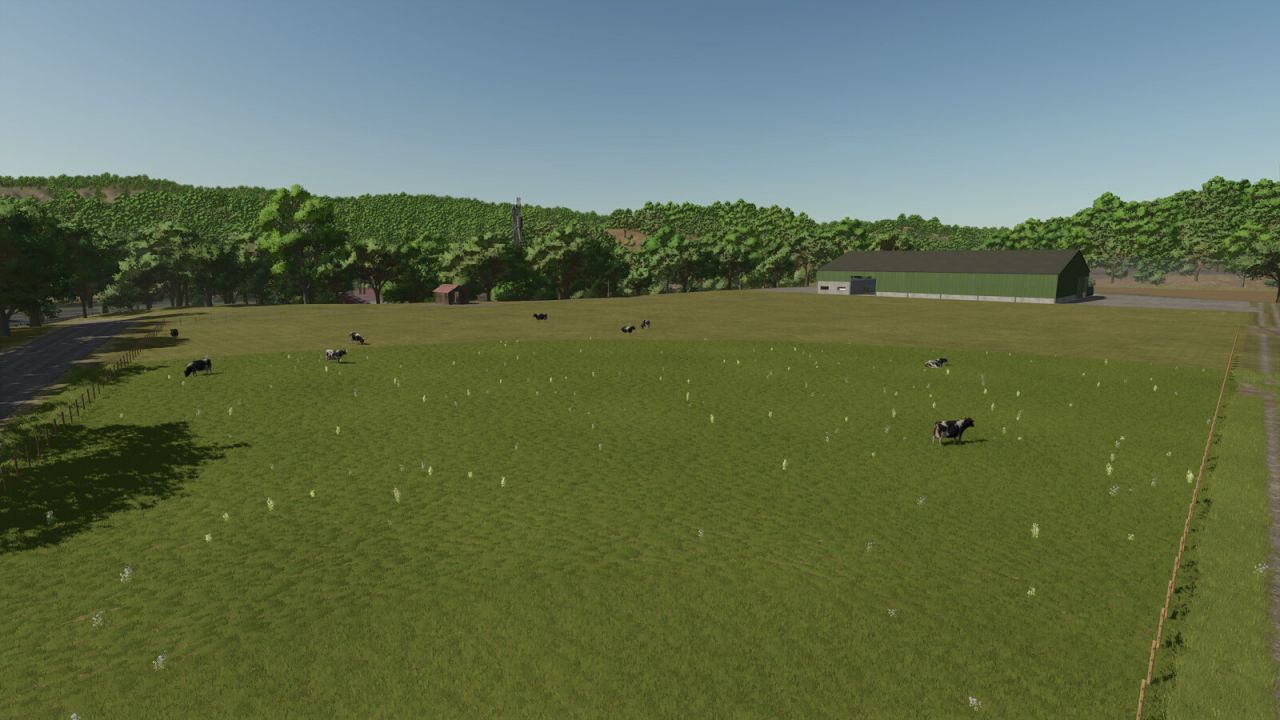Dairy Cow Stall