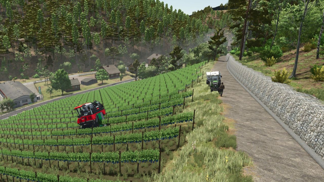 Dalberg