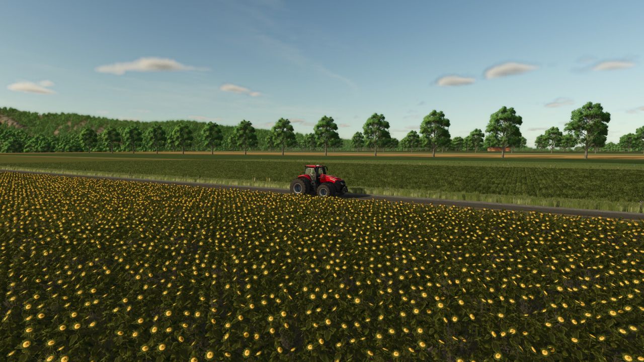 Deadwood The Next Chapter