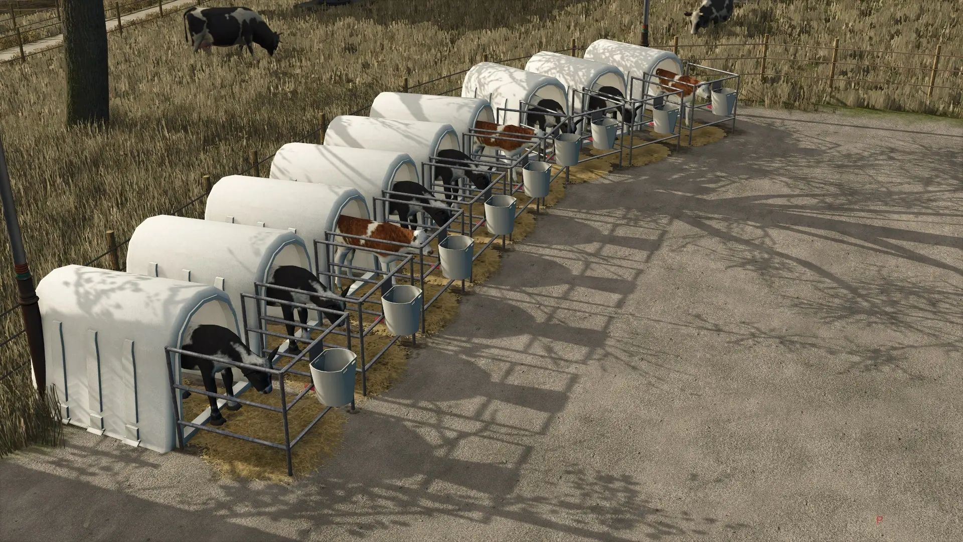 Decorative calf kennel