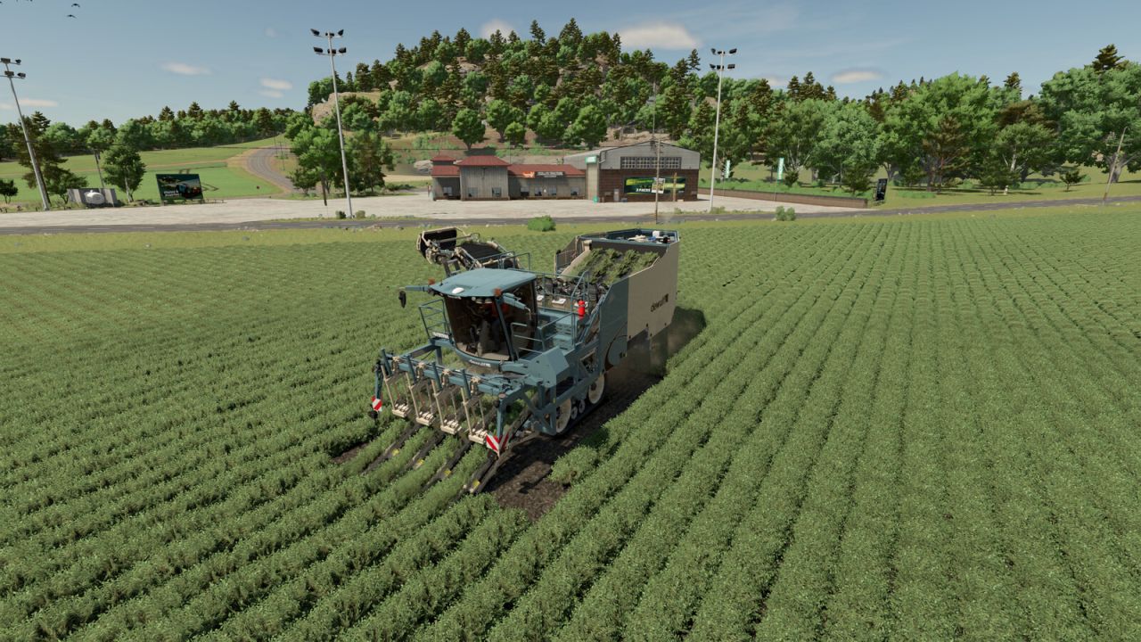 Dewulf Vegetable Harvester