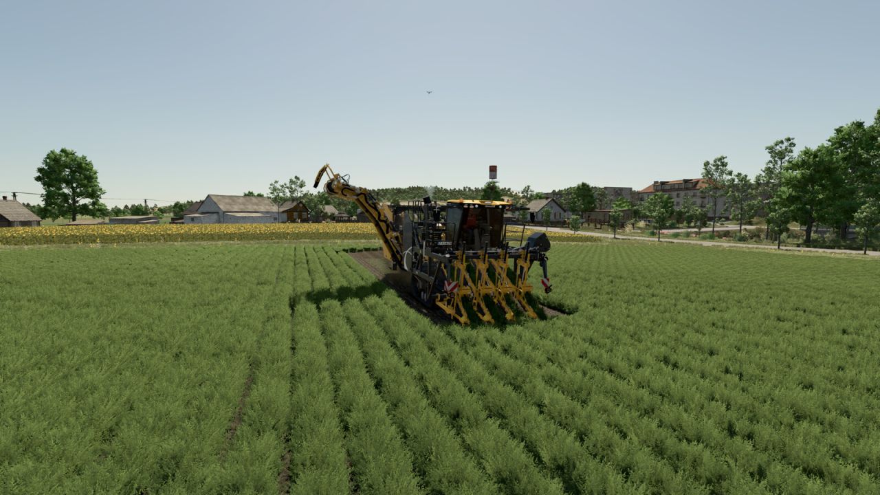 Dewulf Vegetable Harvester