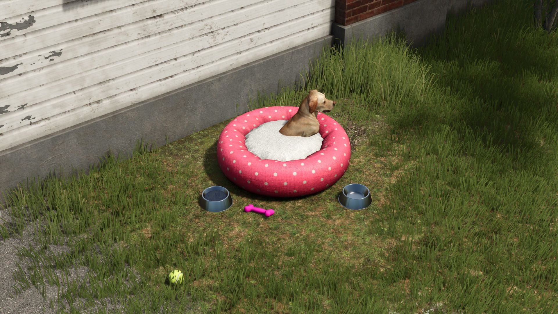 Dog bed package