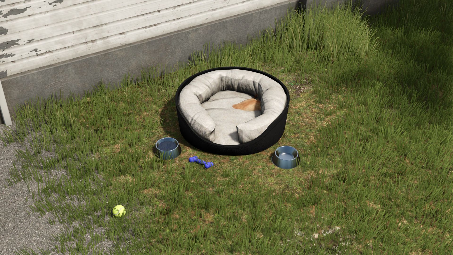 Köpek Yatak Paketi