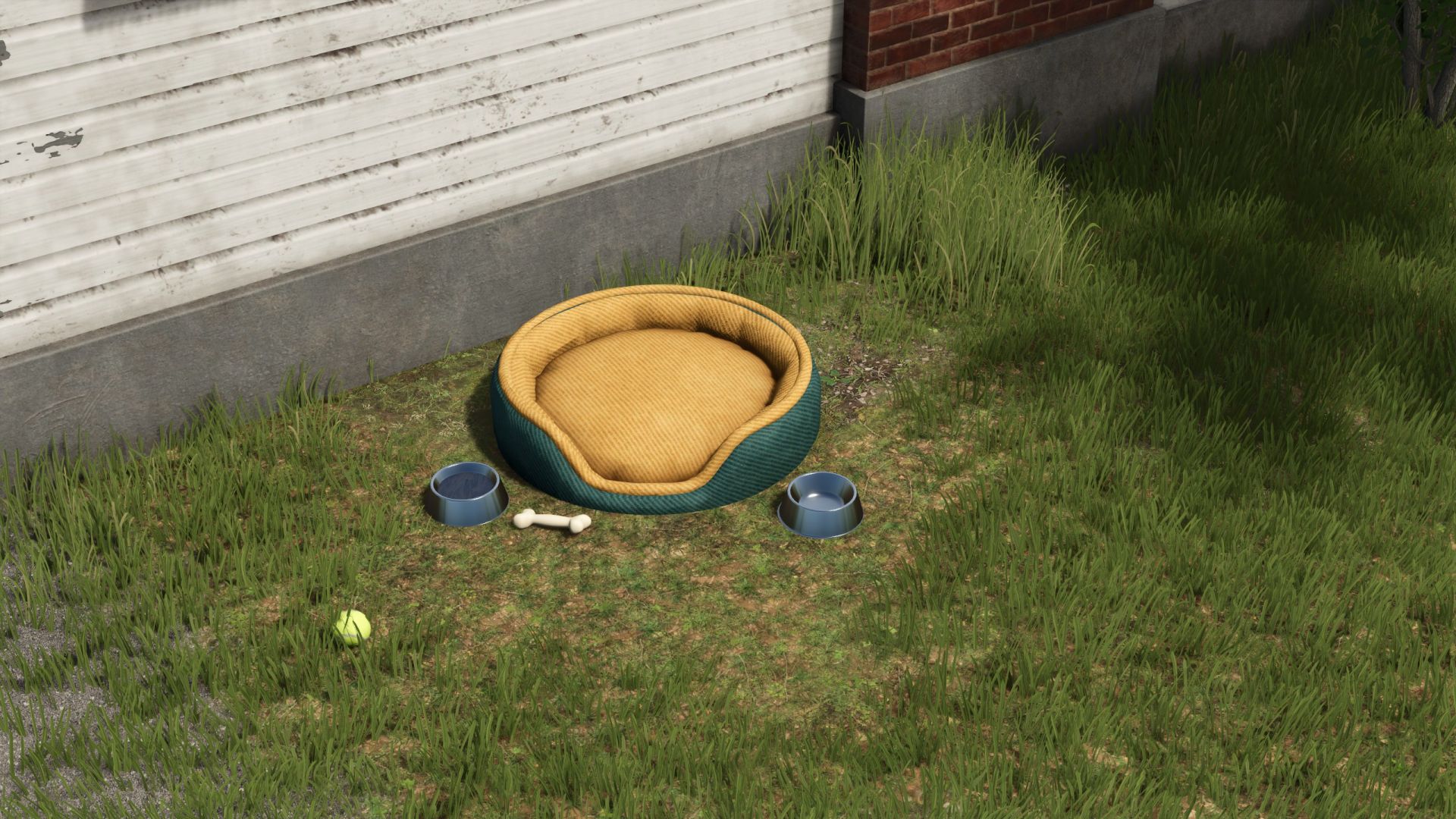Dog bed package