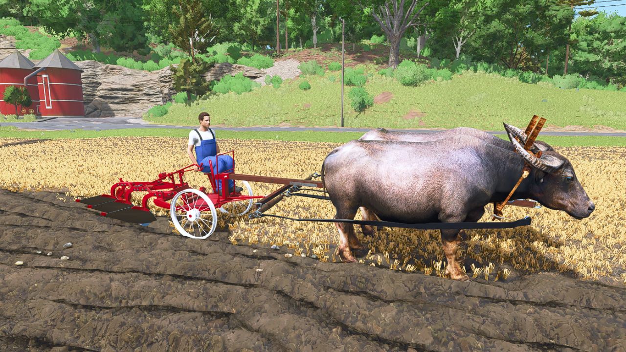 Проект животных пакет