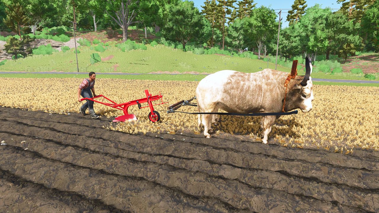 Проект животных пакет