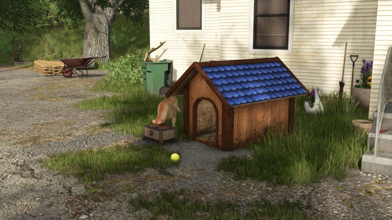 Donghouse