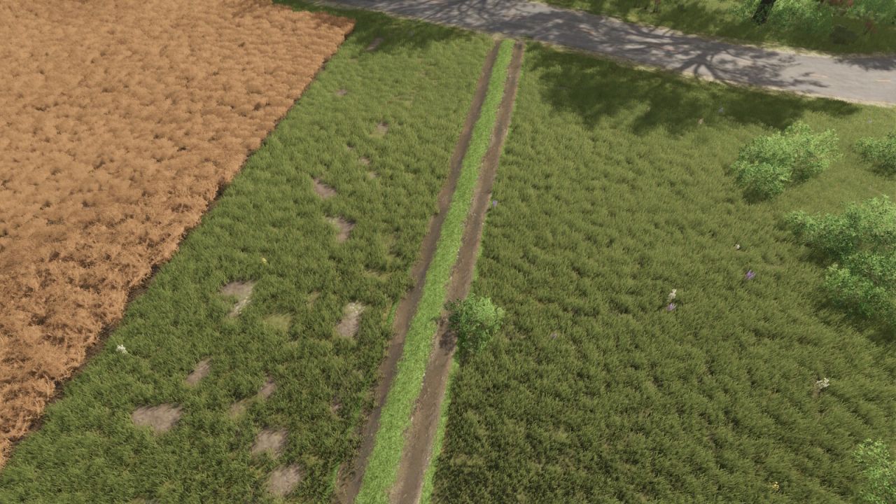 Route Agricole FS25 KingMods