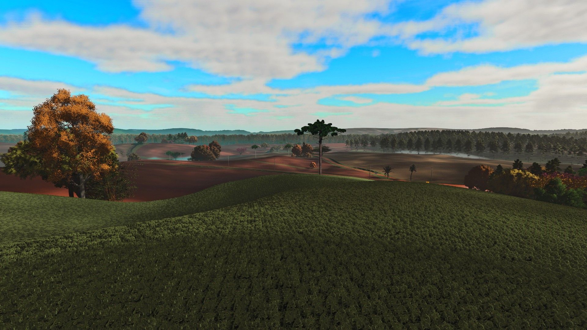 Fazenda Condor