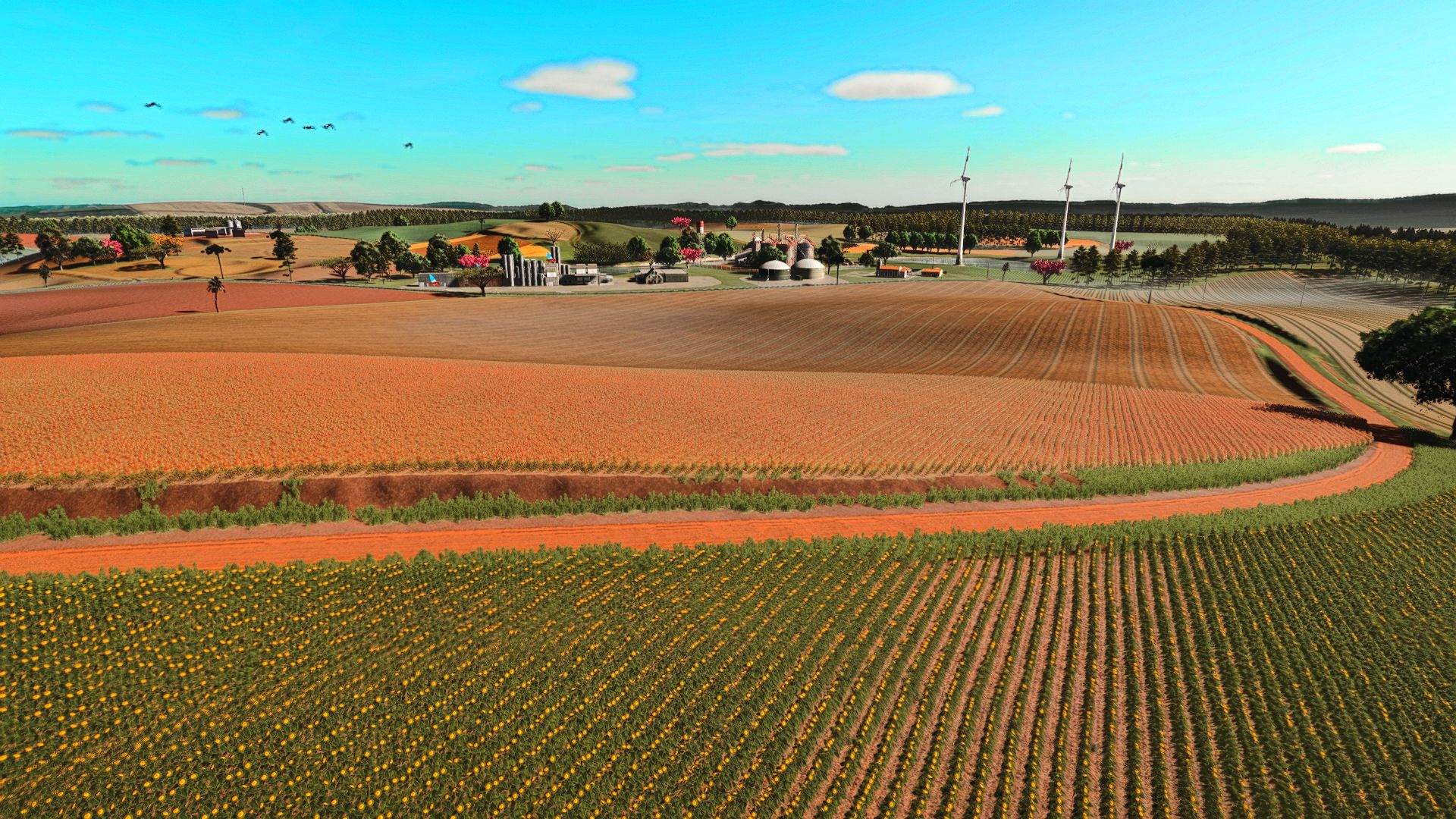 Fazenda Condor