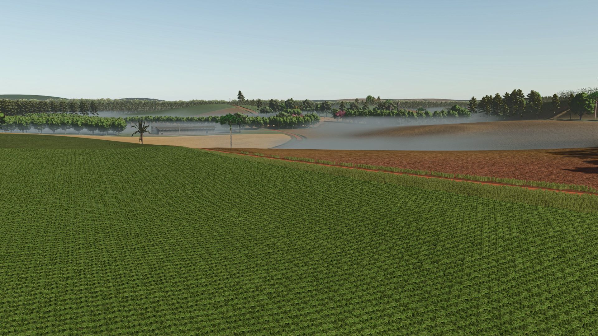 Fazenda Condor