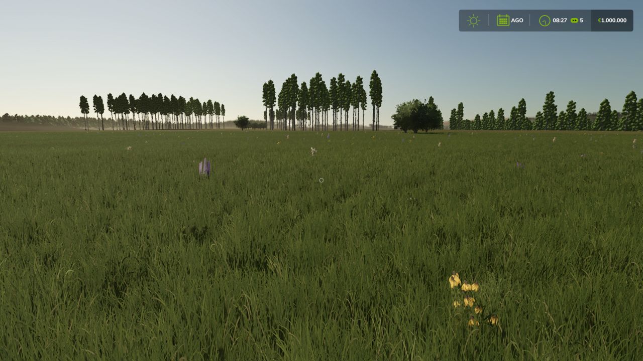 Fazenda Mata 4x