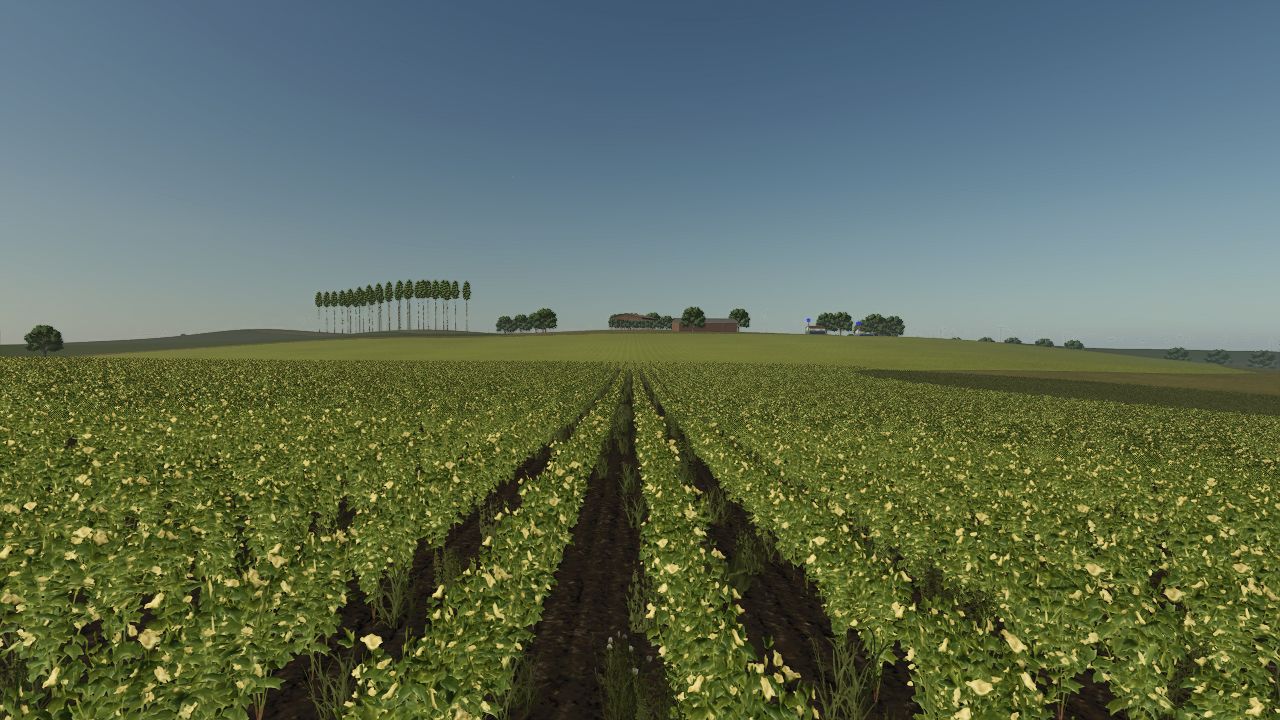 FAZENDA SANTA CECÍLIA