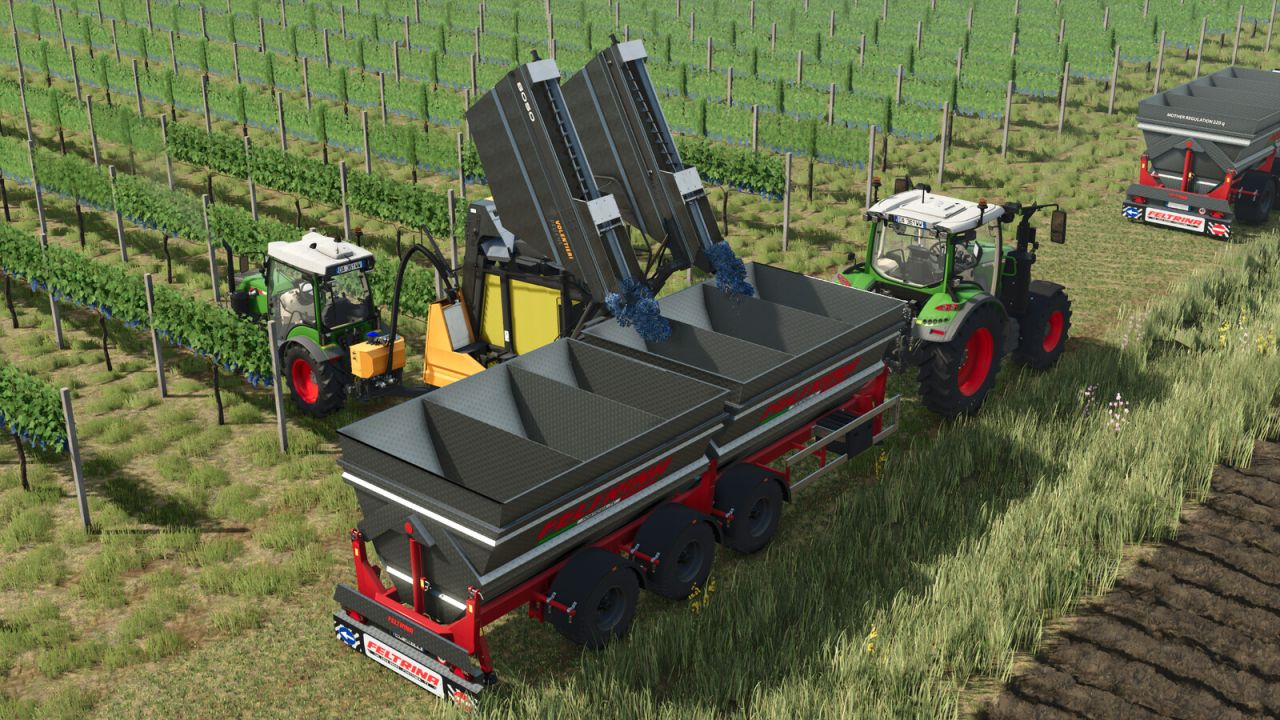 Feltrina Vineyard Series