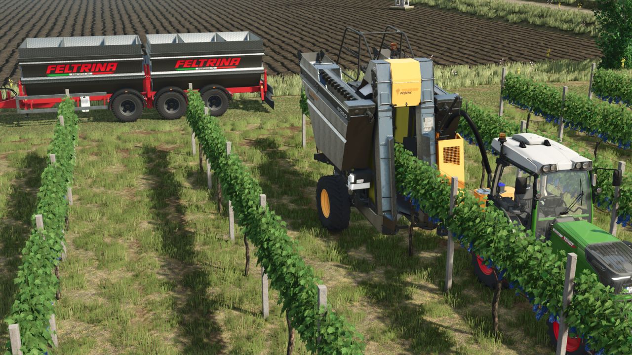 Feltrina Vineyard Series