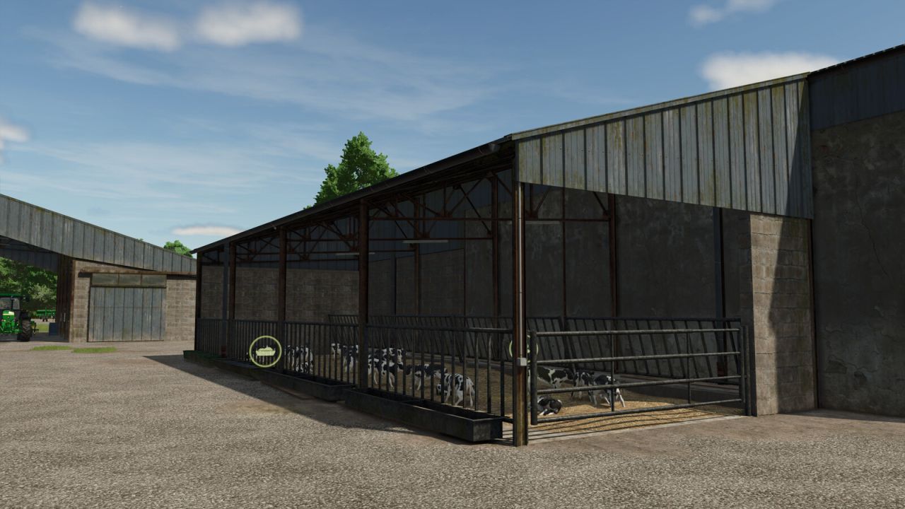 Он приведет теленка в стойло